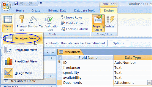 access datasheet view