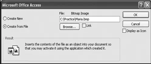 How To Insert Image In Access Using OLE Object Fields 2