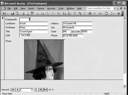 How To Insert Image In Access Using OLE Object Fields 4